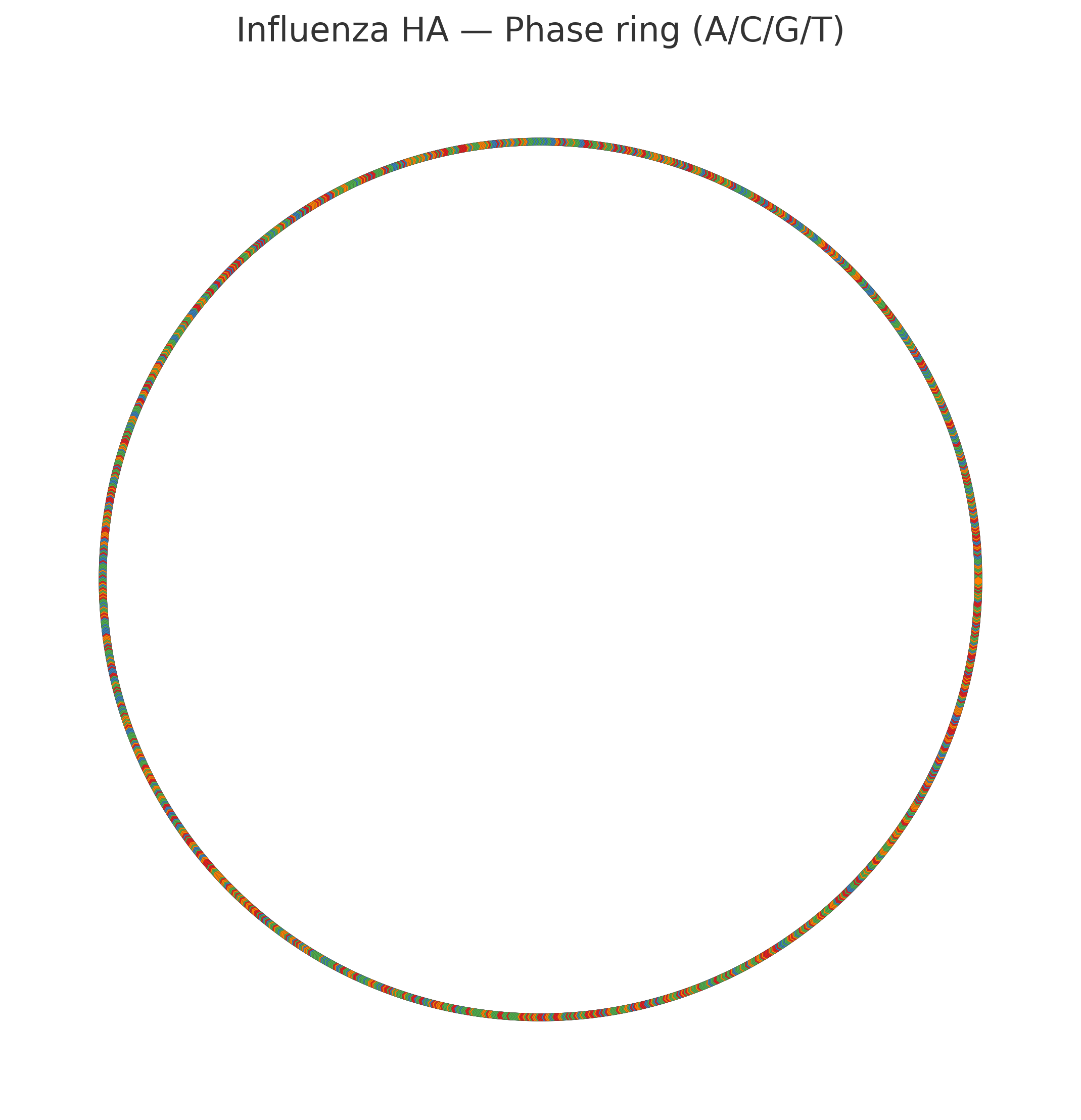 Phase ring (bases)